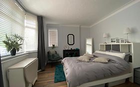Spacious Double Studio-Style Room
